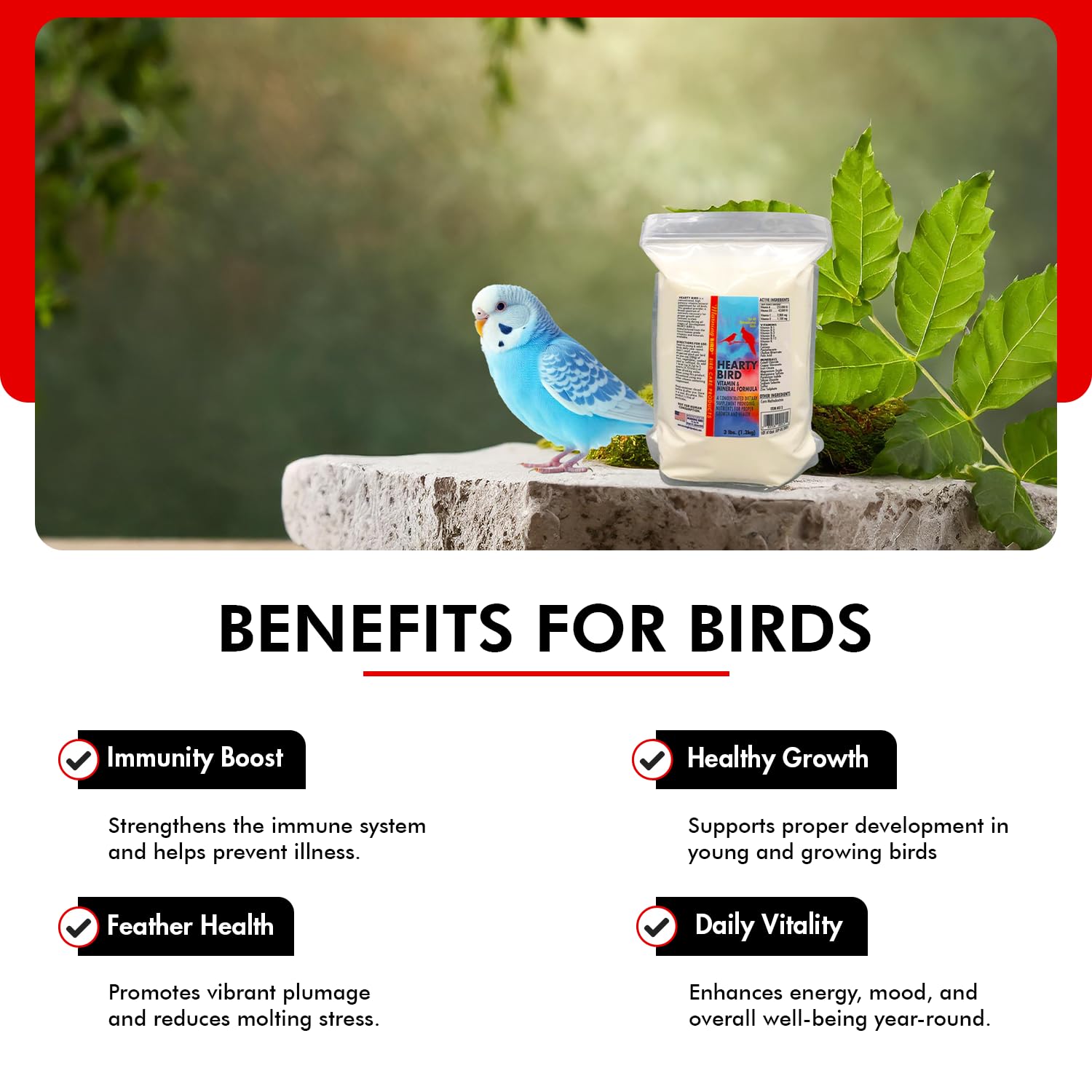 Morning Bird Hearty Bird 3 lbs - Daily Multivitamin Powder for Birds - Energy Support with Immune Booster & Wellness - Protein S